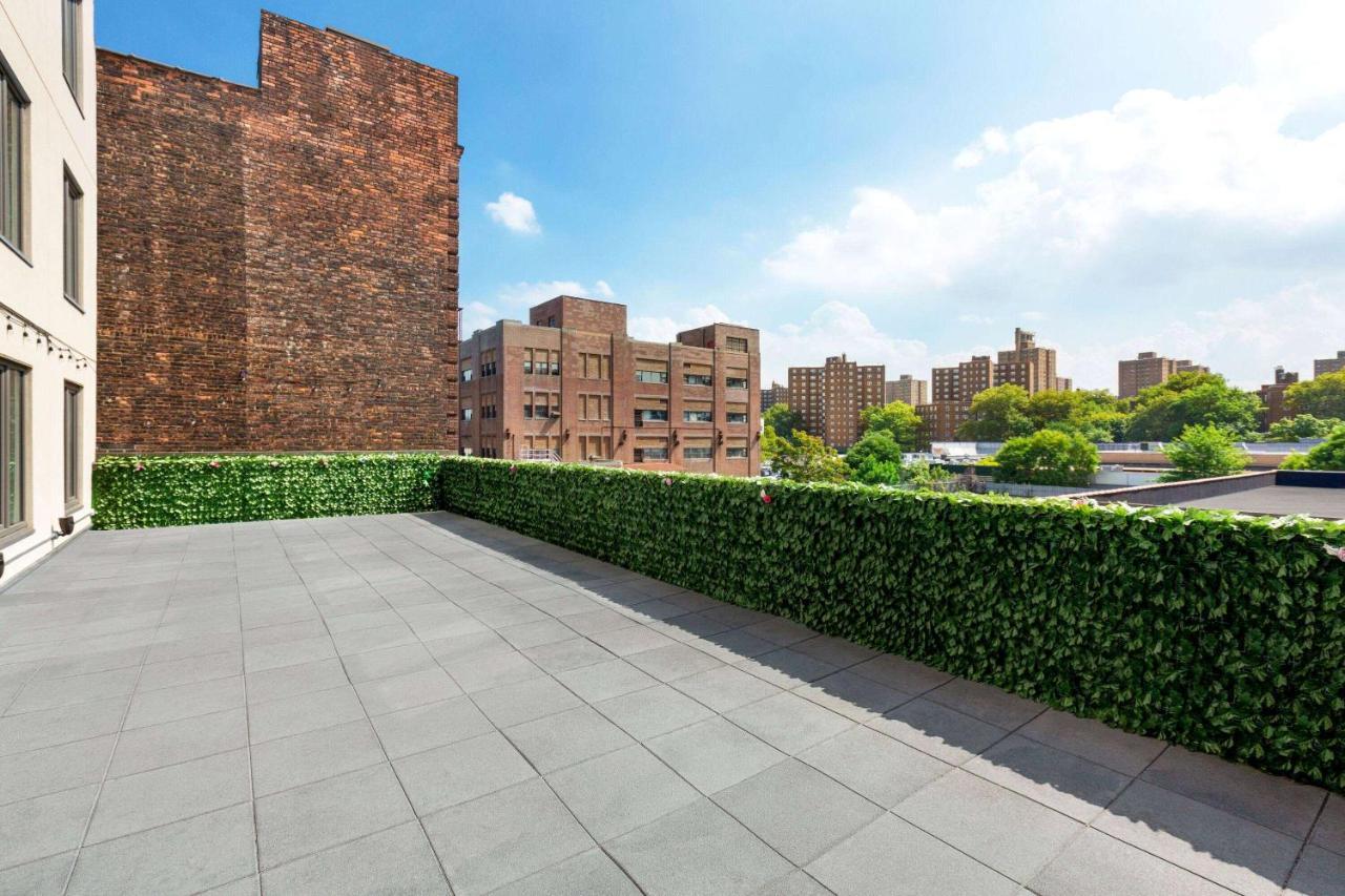 Hotel Wingate By Wyndham Bronx Haven Park
