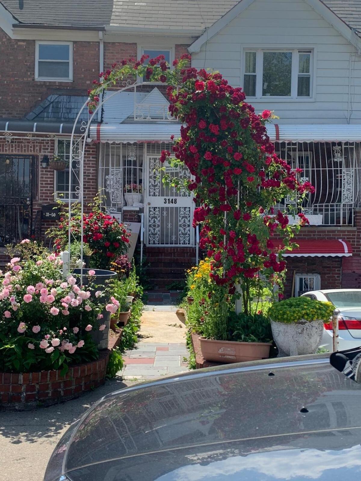 Cheerful 2 Bed In Heart Of Queens New York
