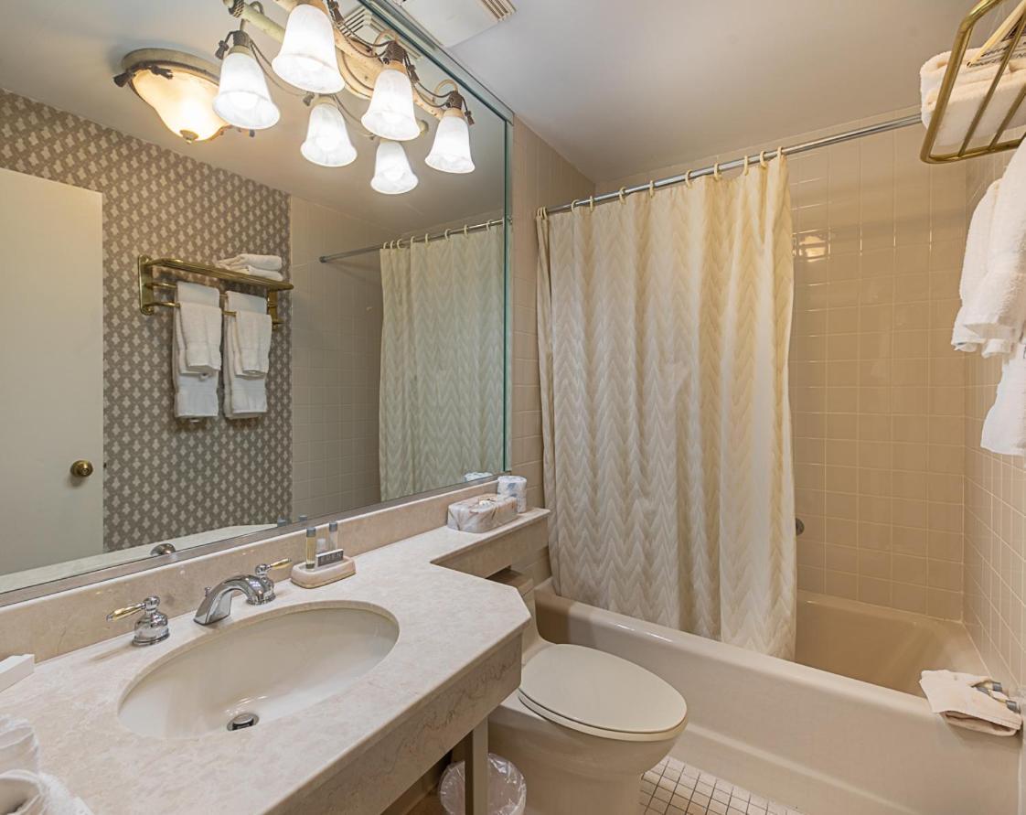 The Avenue Plaza 3*