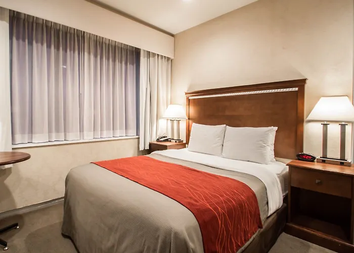 Comfort Inn Manhattan Bridge