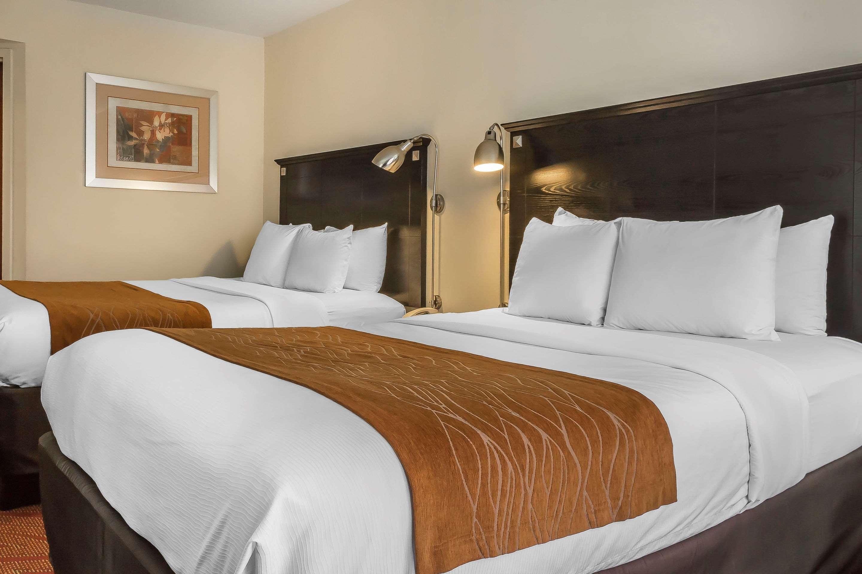 Comfort & Laguardia Airport Hotel 3*