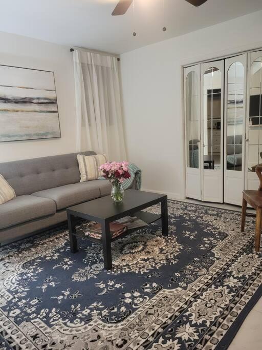 Apartment Private Apartment, Not Shared, Near Public Transportation, Super Fast Free Wifi, Due To Ny Restrictions It Only Be Booked For 30 Nights Or More, Even If The Site Allows To Book It, I Will Not Be Able To Accept The Reservation, 30 Nights Minim