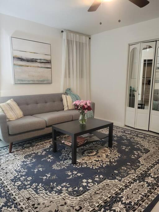 Apartment Private Apartment, Not Shared, Near Public Transportation, Super Fast Free Wifi, Due To Ny Restrictions It Only Be Booked For 30 Nights Or More, Even If The Site Allows To Book It, I Will Not Be Able To Accept The Reservation, 30 Nights Minim New York