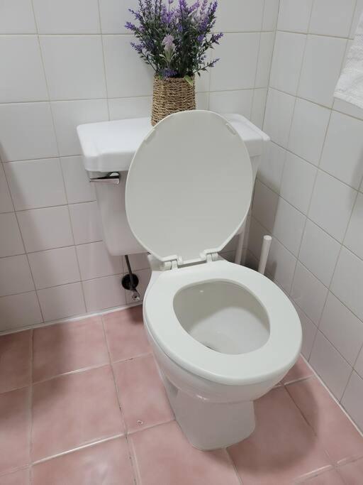 Apartment Private Apartment, Not Shared, Near Public Transportation, Super Fast Free Wifi, Due To Ny Restrictions It Only Be Booked For 30 Nights Or More, Even If The Site Allows To Book It, I Will Not Be Able To Accept The Reservation, 30 Nights Minim New York