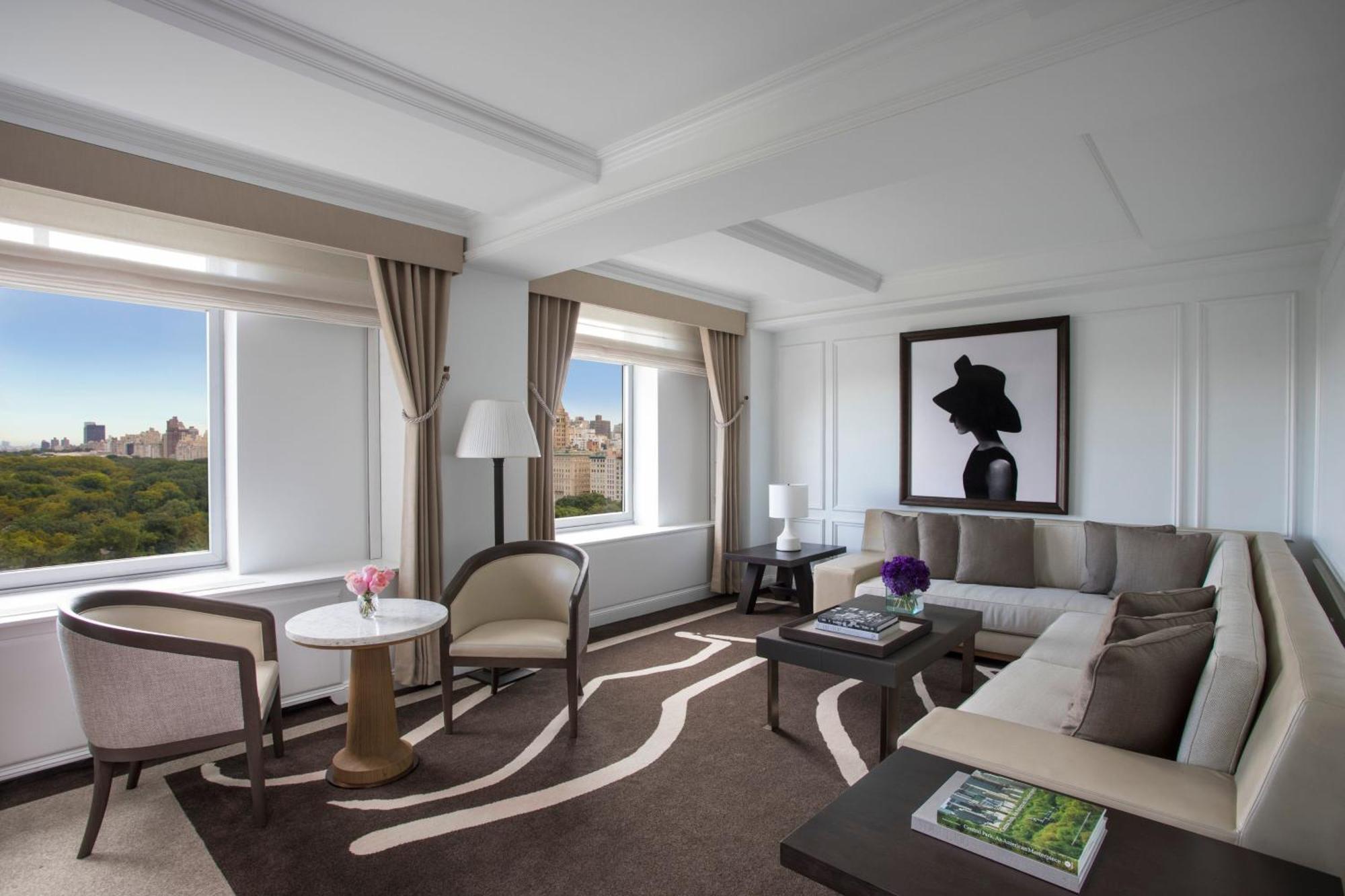 Hotel The Ritz-carlton New York, Central Park New York