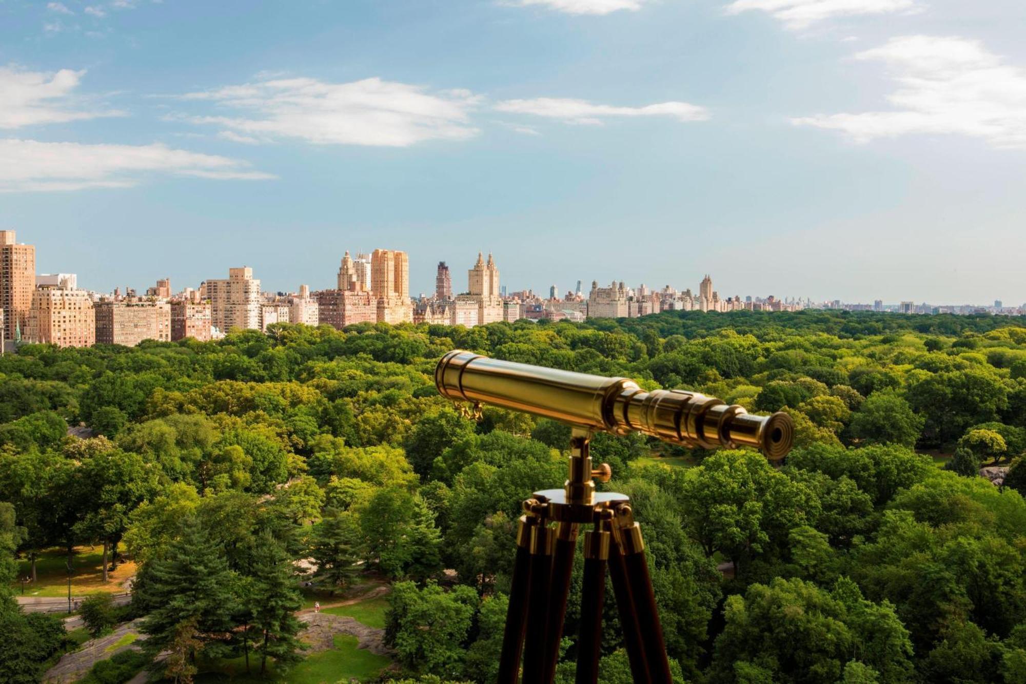 Hotel The Ritz-carlton New York, Central Park 5*