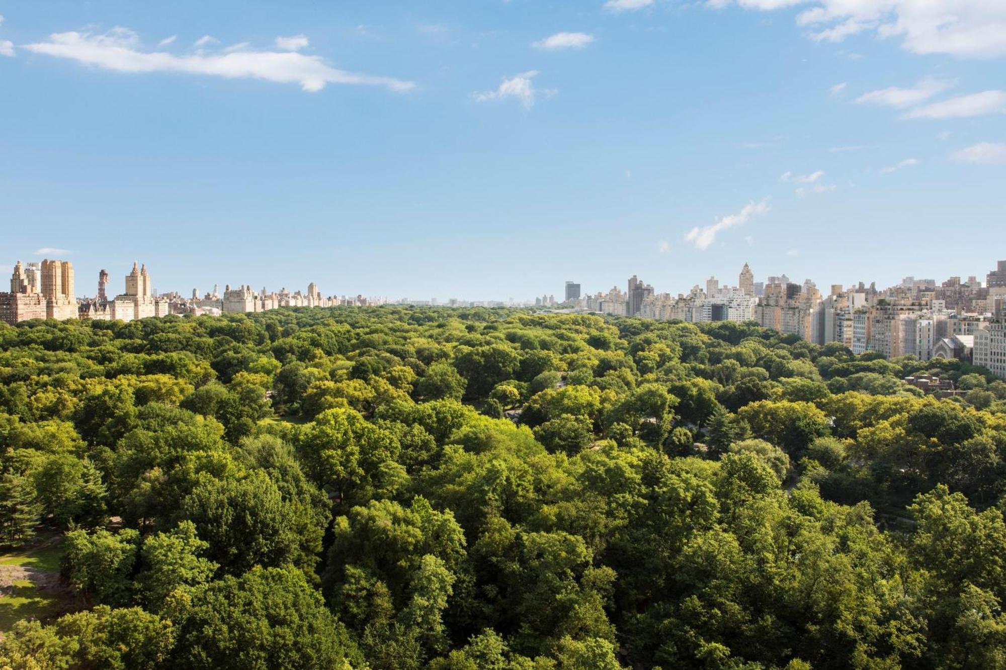 The Ritz-carlton New York, Central Park Hotel