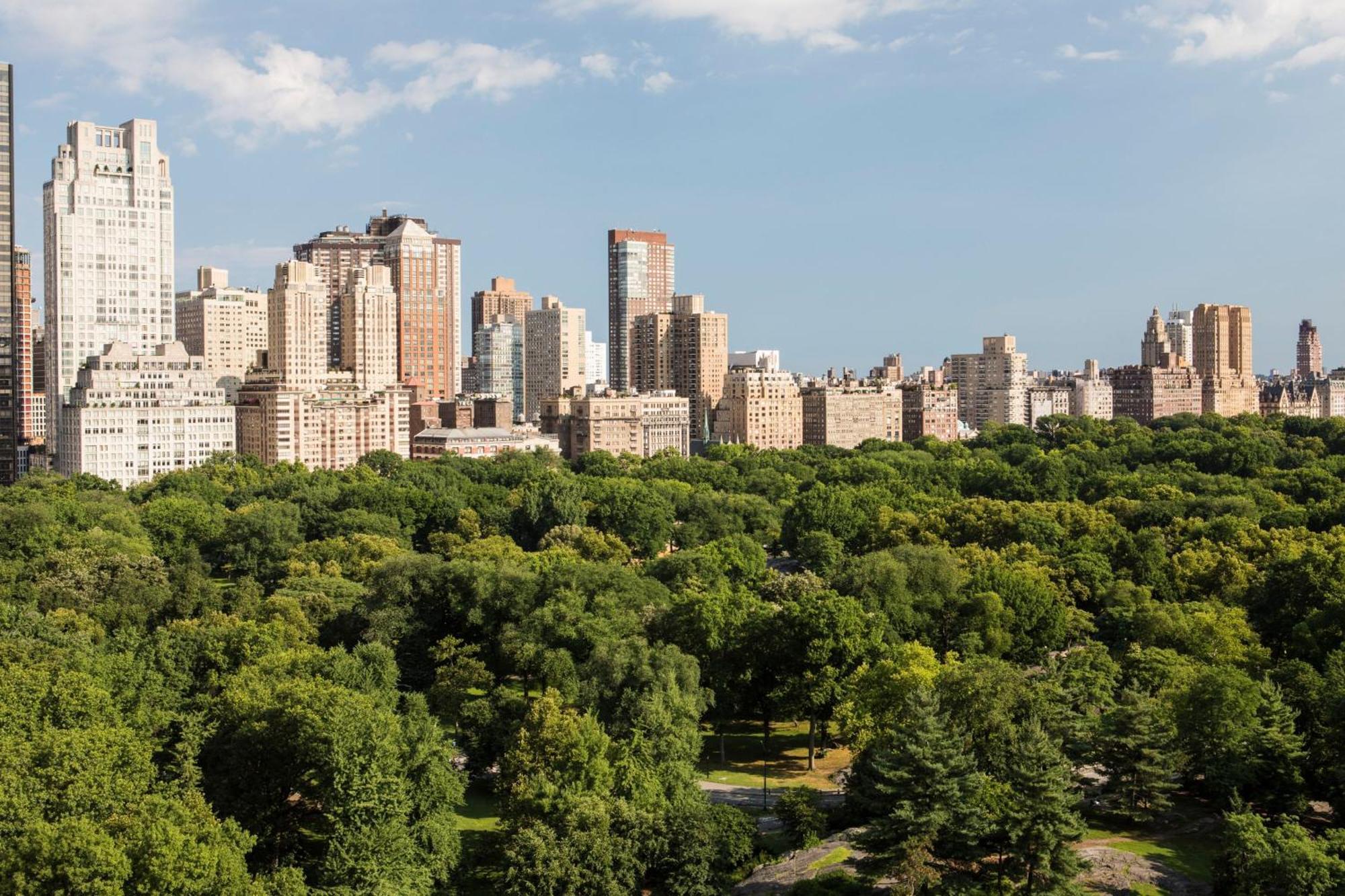 Hotel The Ritz-carlton New York, Central Park New York