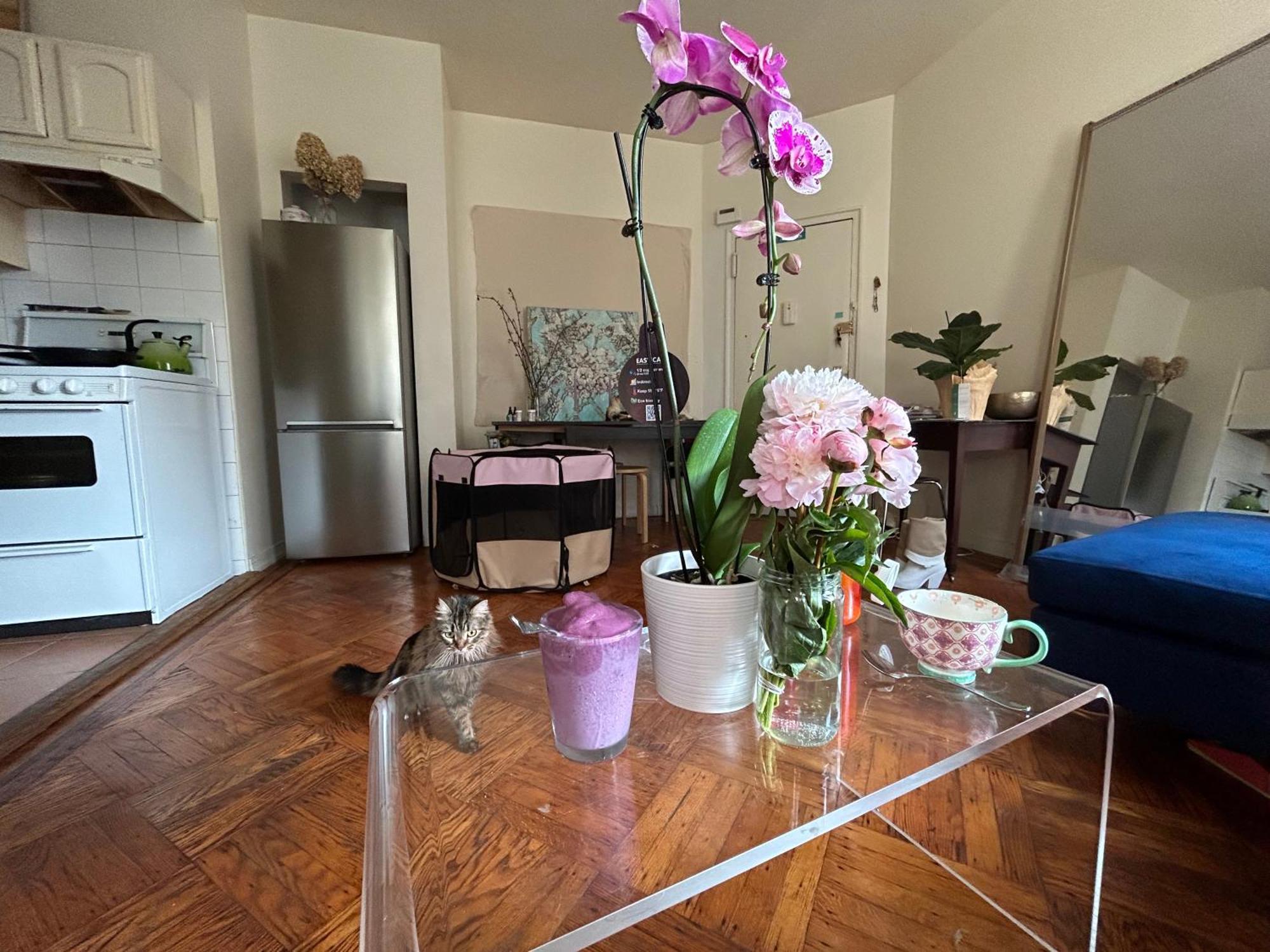 Bright Artist 2 Bedroom - One Block From Prospect Park - Across From The Train Apartment New York