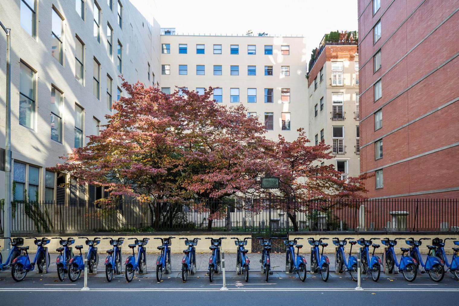 Apartment Chelsea 1br W Balcony Doorman Gym Nyc-135