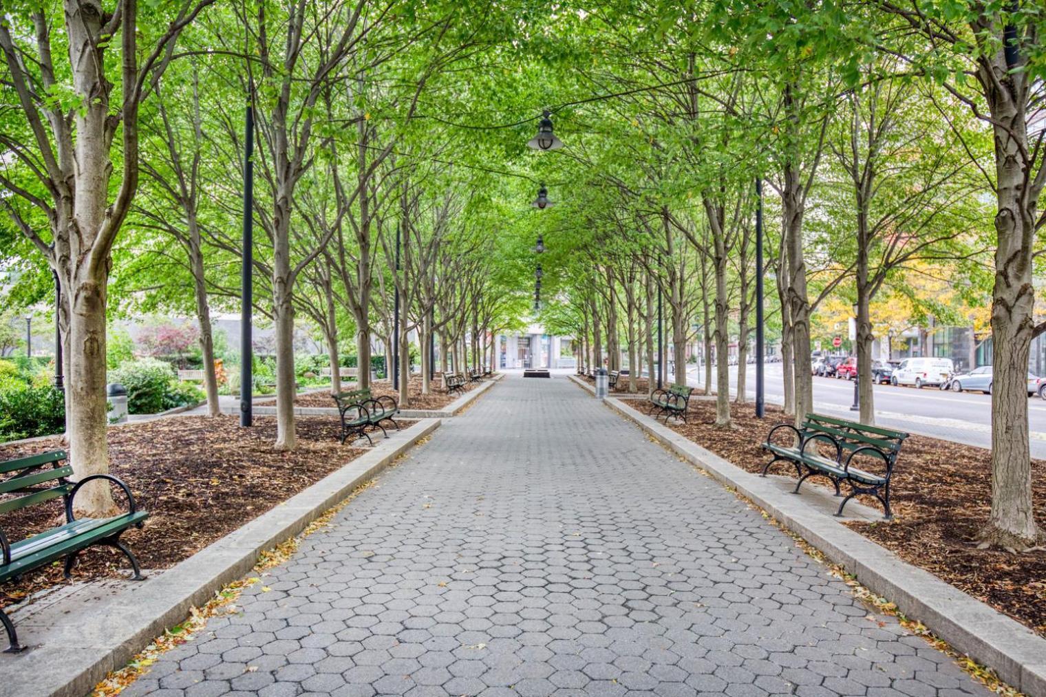 Fidi 1br W Doorman Gym Nr St Nyc-546 New York
