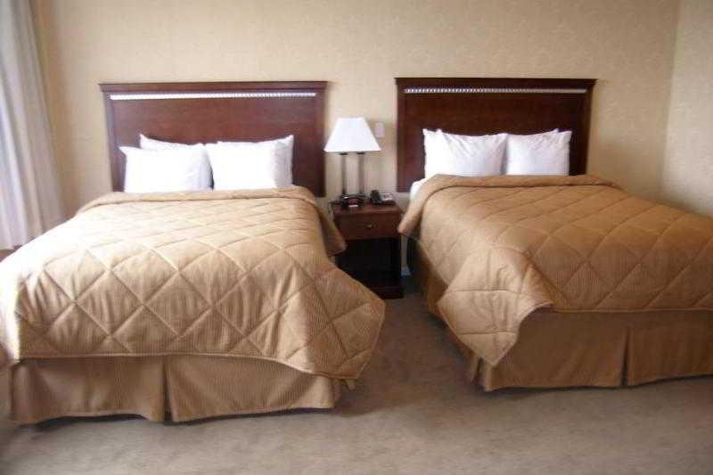 Comfort Manhattan Bridge 3*