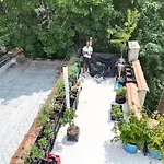 Harlem House