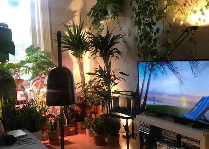 Urban Jungle Oasis In Queens!