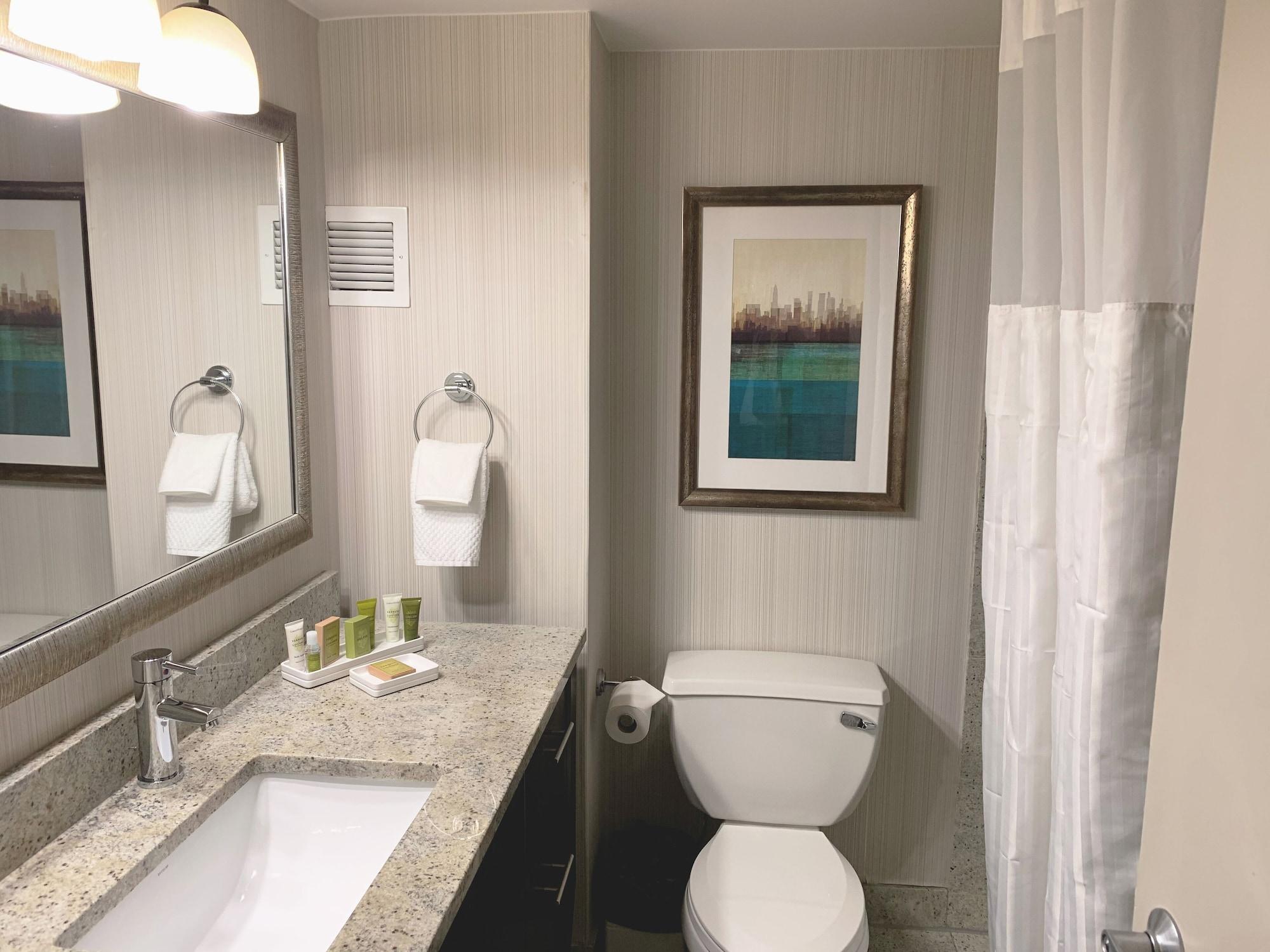 Hotel Hilton Jfk Airport 4*