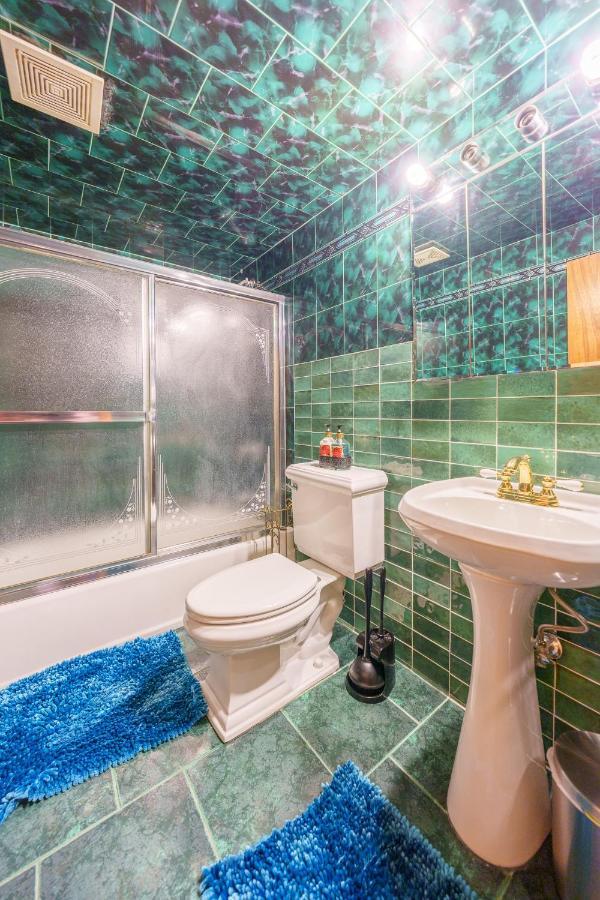 Newly Renovated Beautiful Studio Apt Apartment