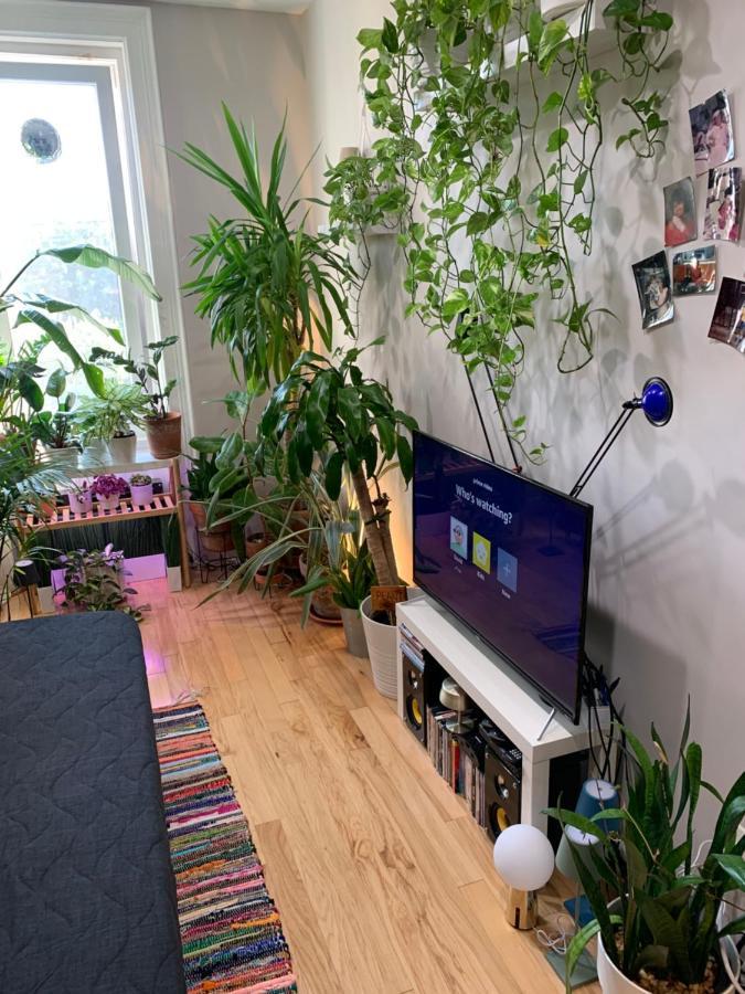Urban Jungle Oasis In Queens! Homestay New York
