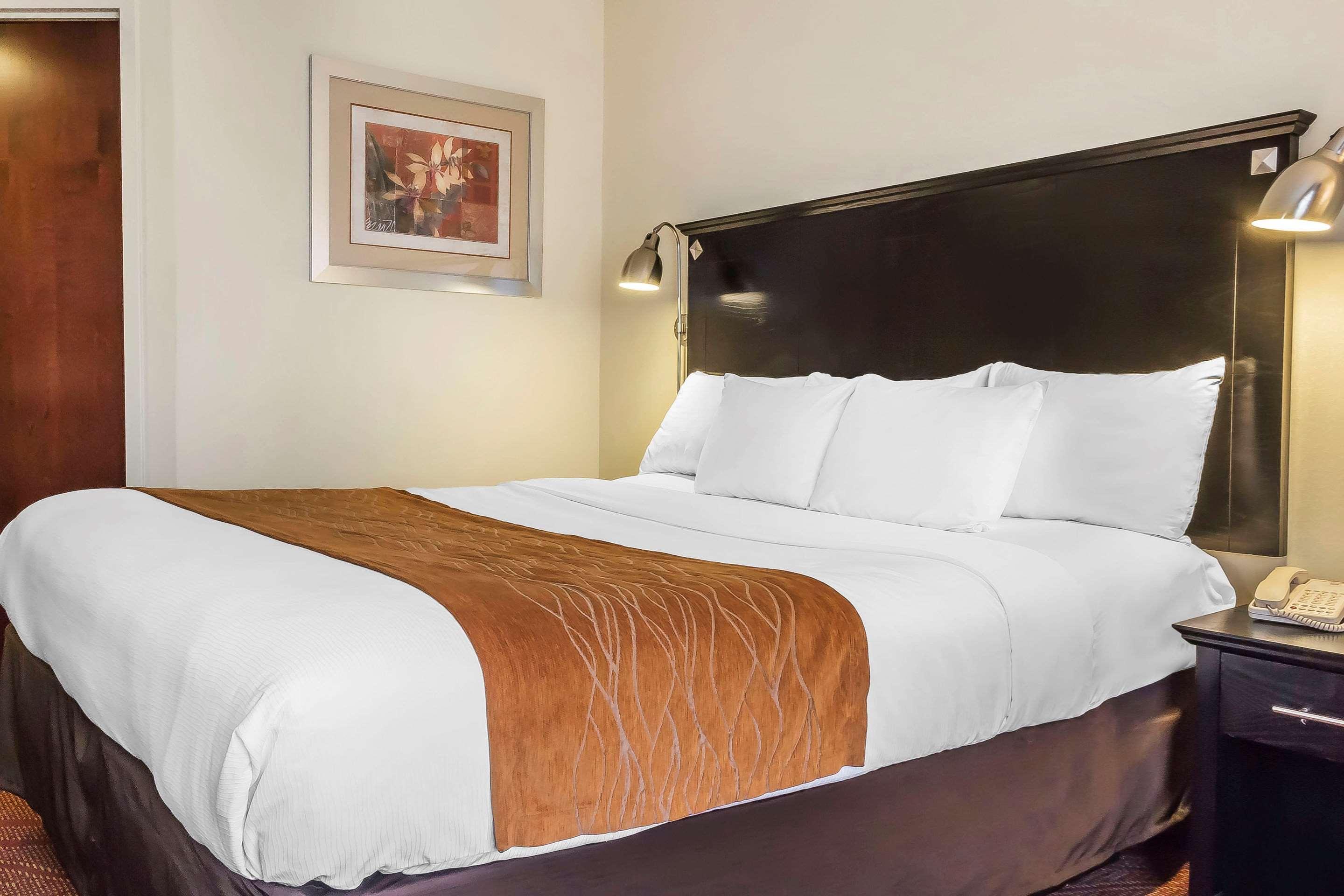 Comfort & Laguardia Airport