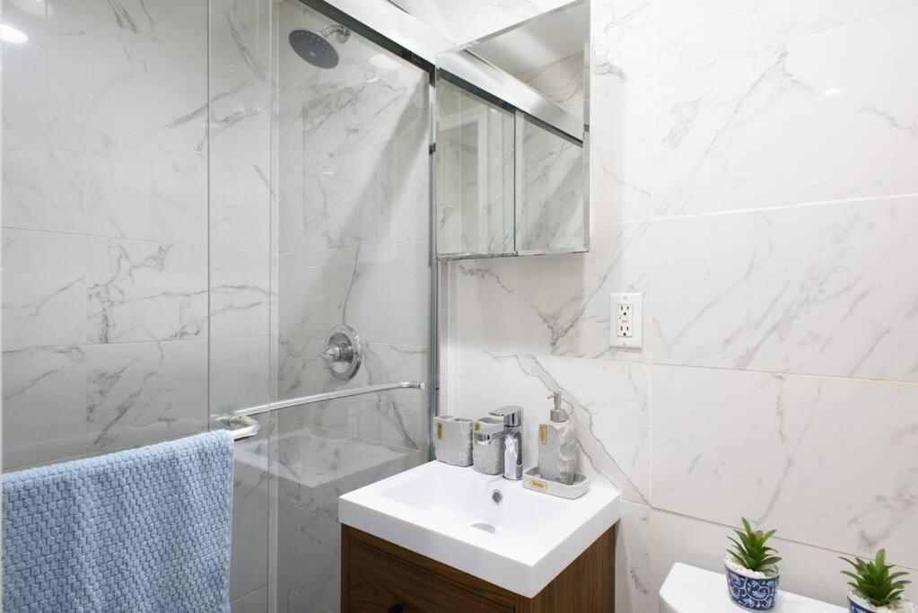 69-2a Prime Lower East Side 1br Brand New