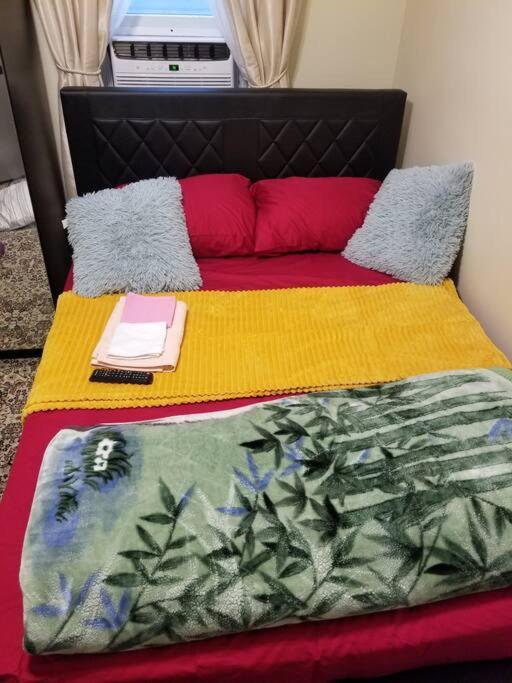 Cozy & Private Space Close To Rumc & Siuh Apartment