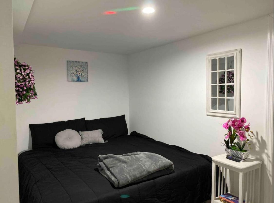 145 St Queens Near Jfk, Lga, & Citi Field, Free Parking In The Backyard 646-667-6696 Apartment *