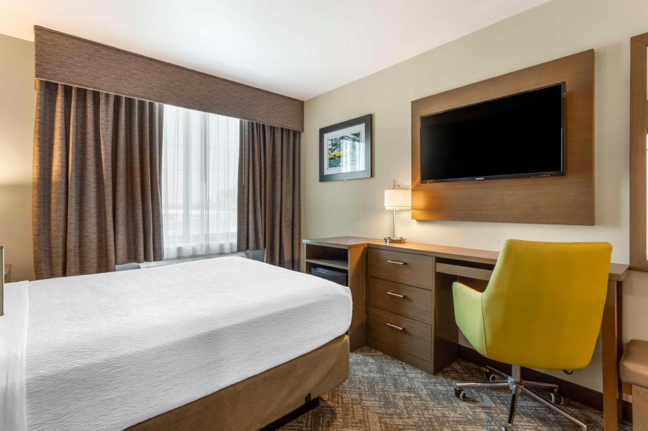 Hotel Western Brooklyn-coney Island New York