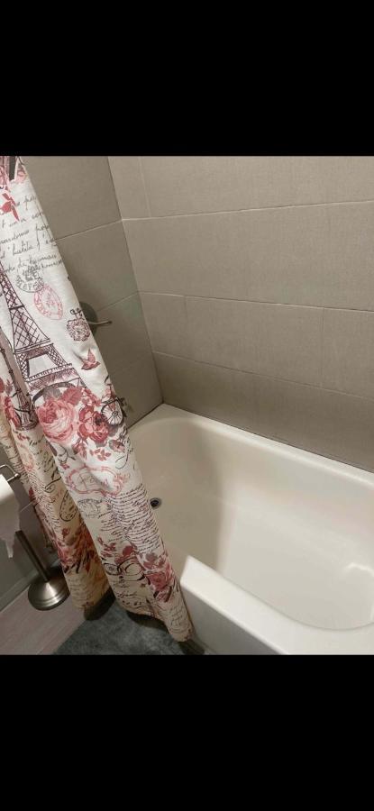 Apartment 2 Spacious Oasis To Choose From 20 Min From Manhattan In A Quiet Neighborhood New York