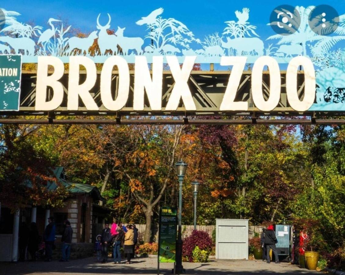 Apartment Lovely 2 Bedroom With 2 Entrance And Parking New York