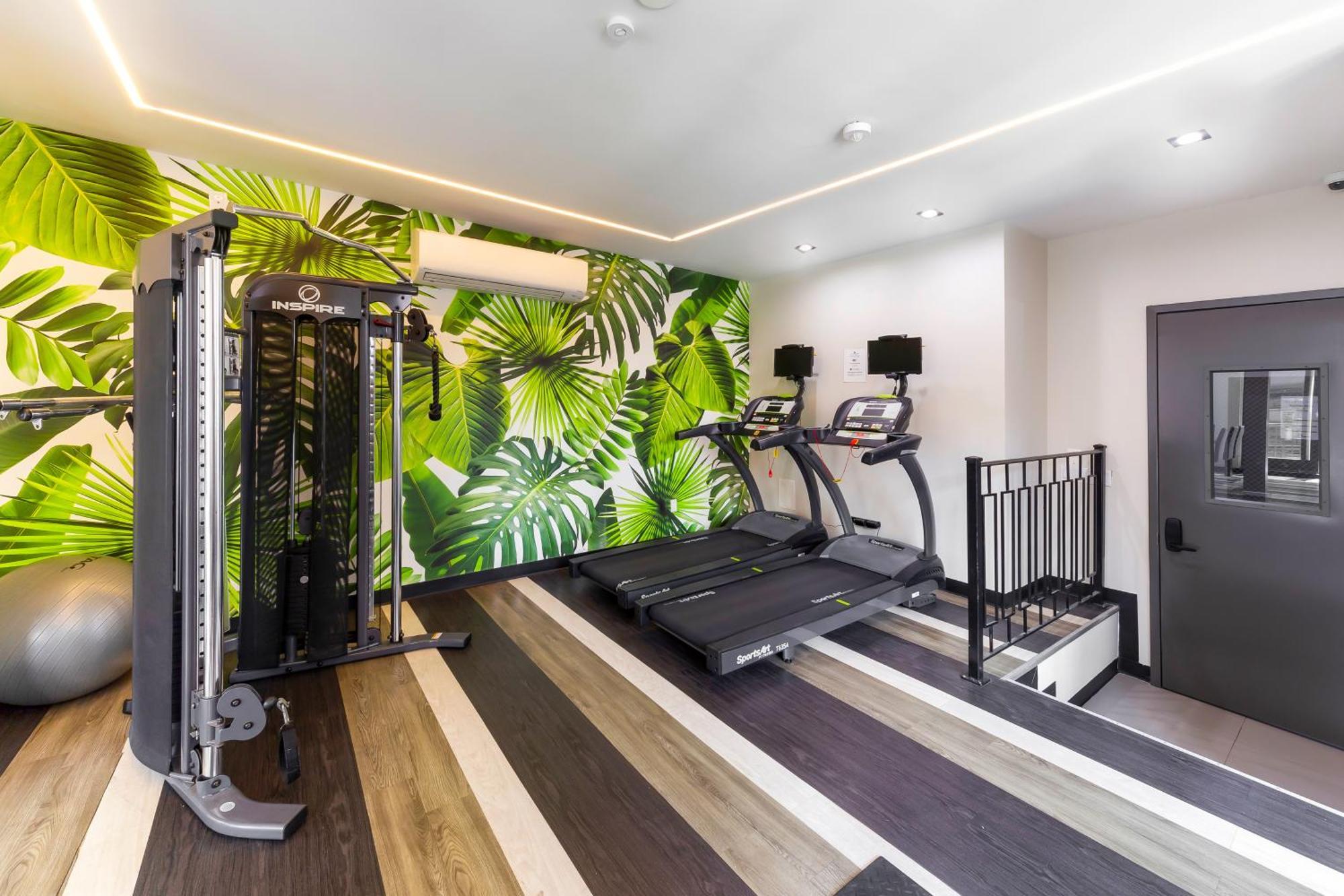 Paradise Suites New York