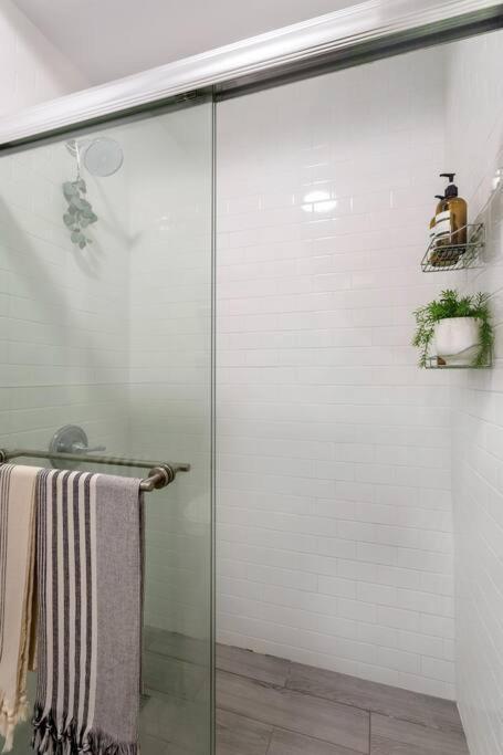 Bright Designer In Historic Harlem Apartment