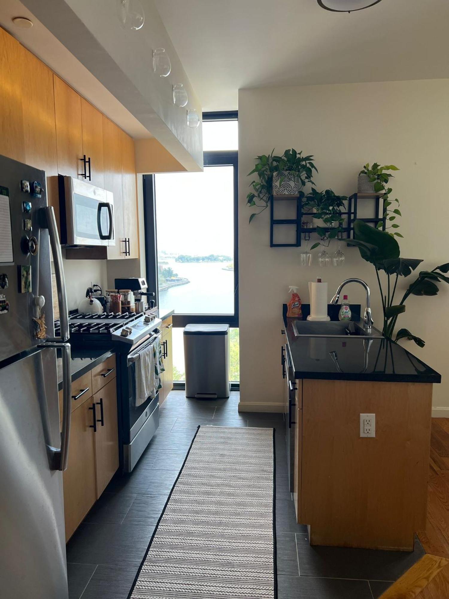 Aphrodites Garden Apartment New York