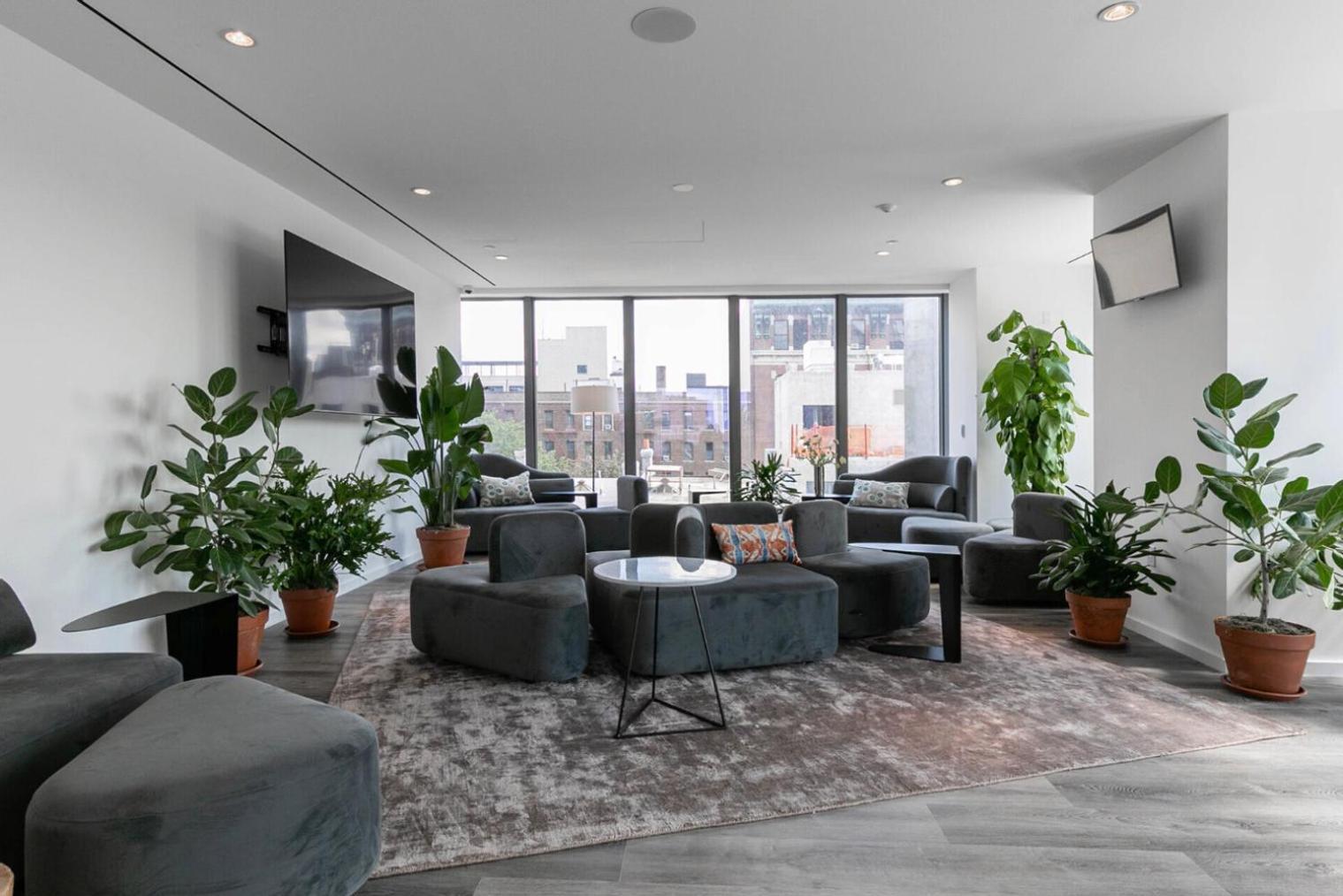 Apartment Blueground Clinton Hill Gym Wd Near Sports Nyc-1464 *