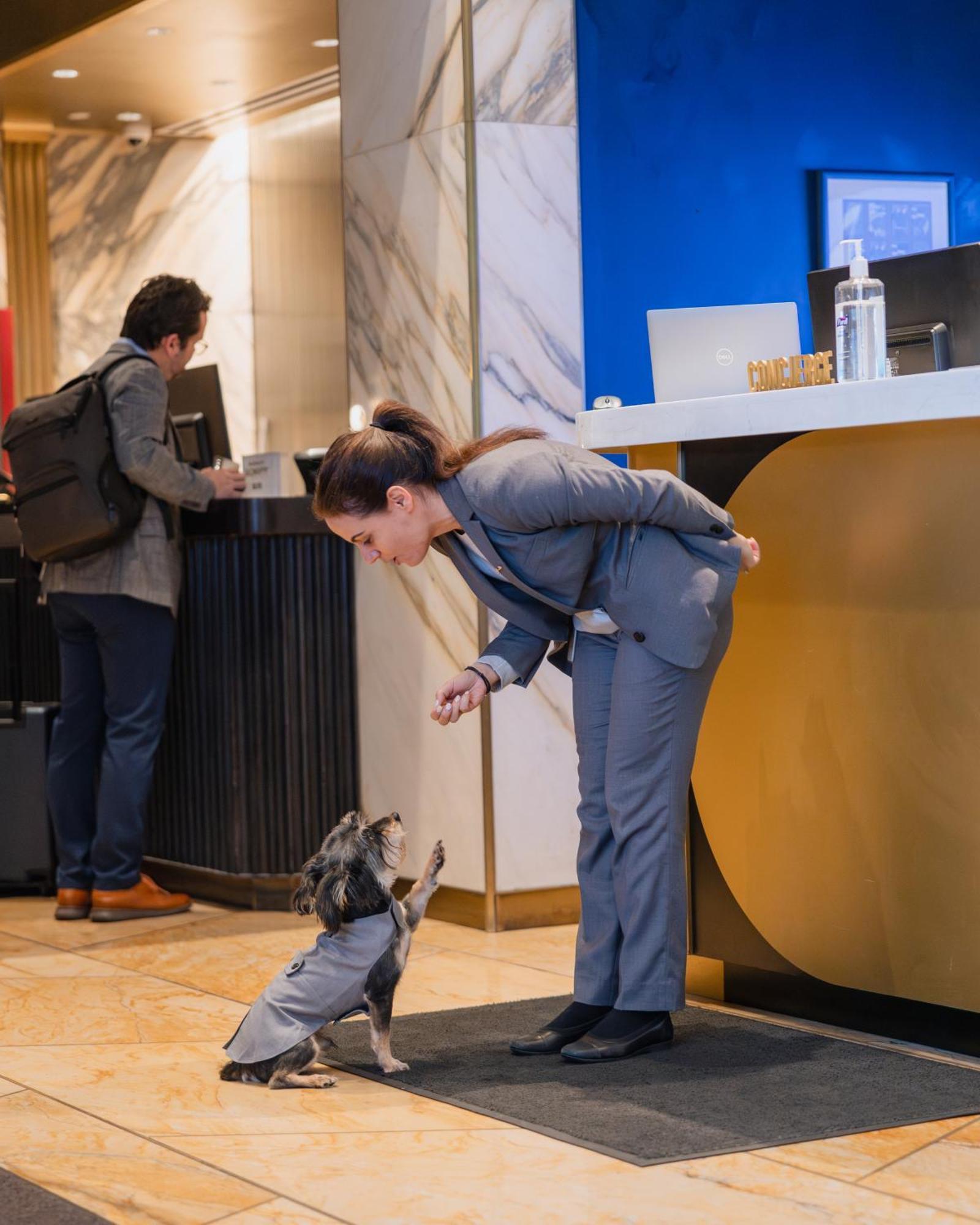 Hotel Le Meridien New York, Park 5*