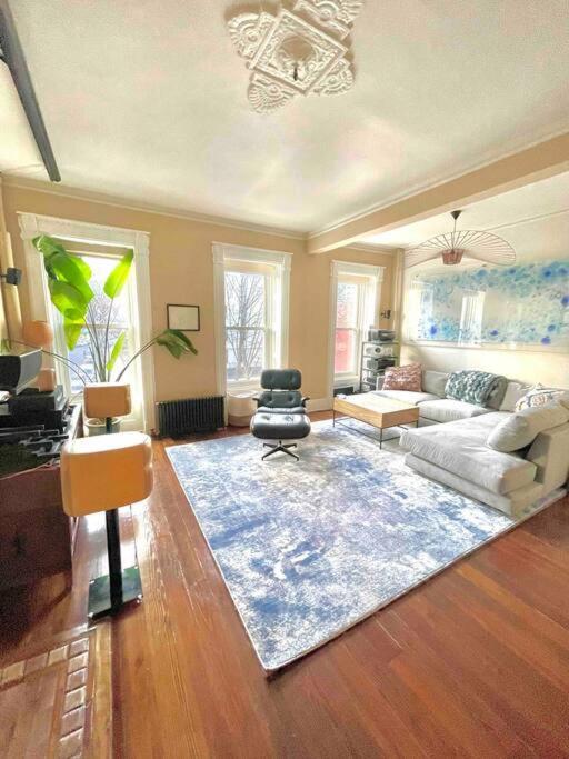 Relaxing & Cozy Spa. In Brooklyn Mins To Mhtn Apartment New York