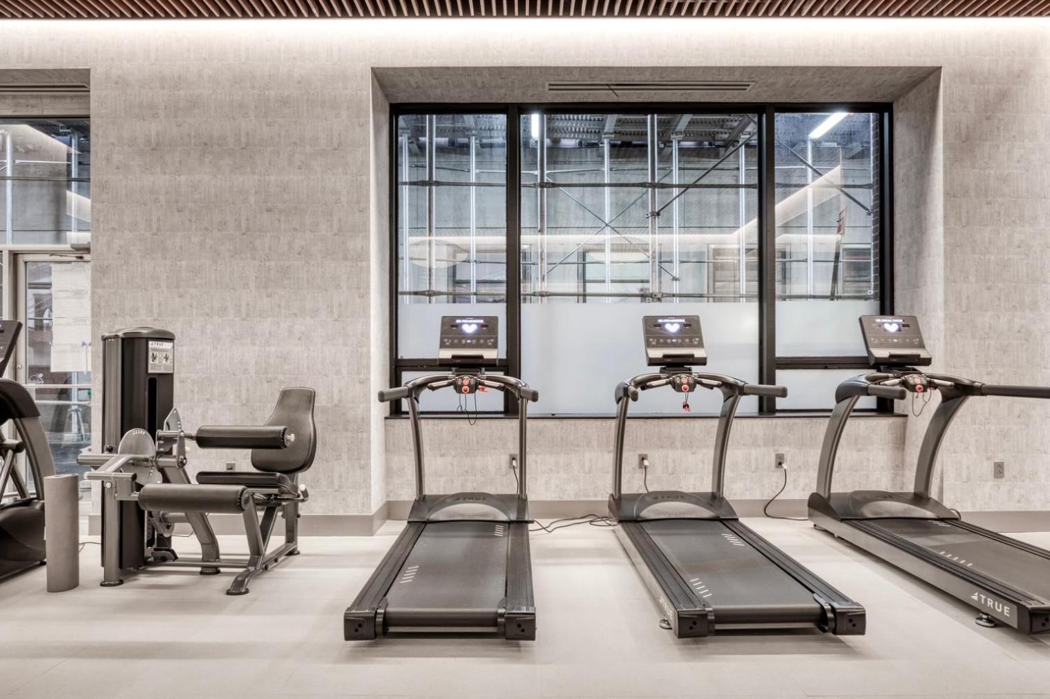 Apartment Fidi Studio W Doorman Nr Fulton Stn Seaport Nyc-441 New York