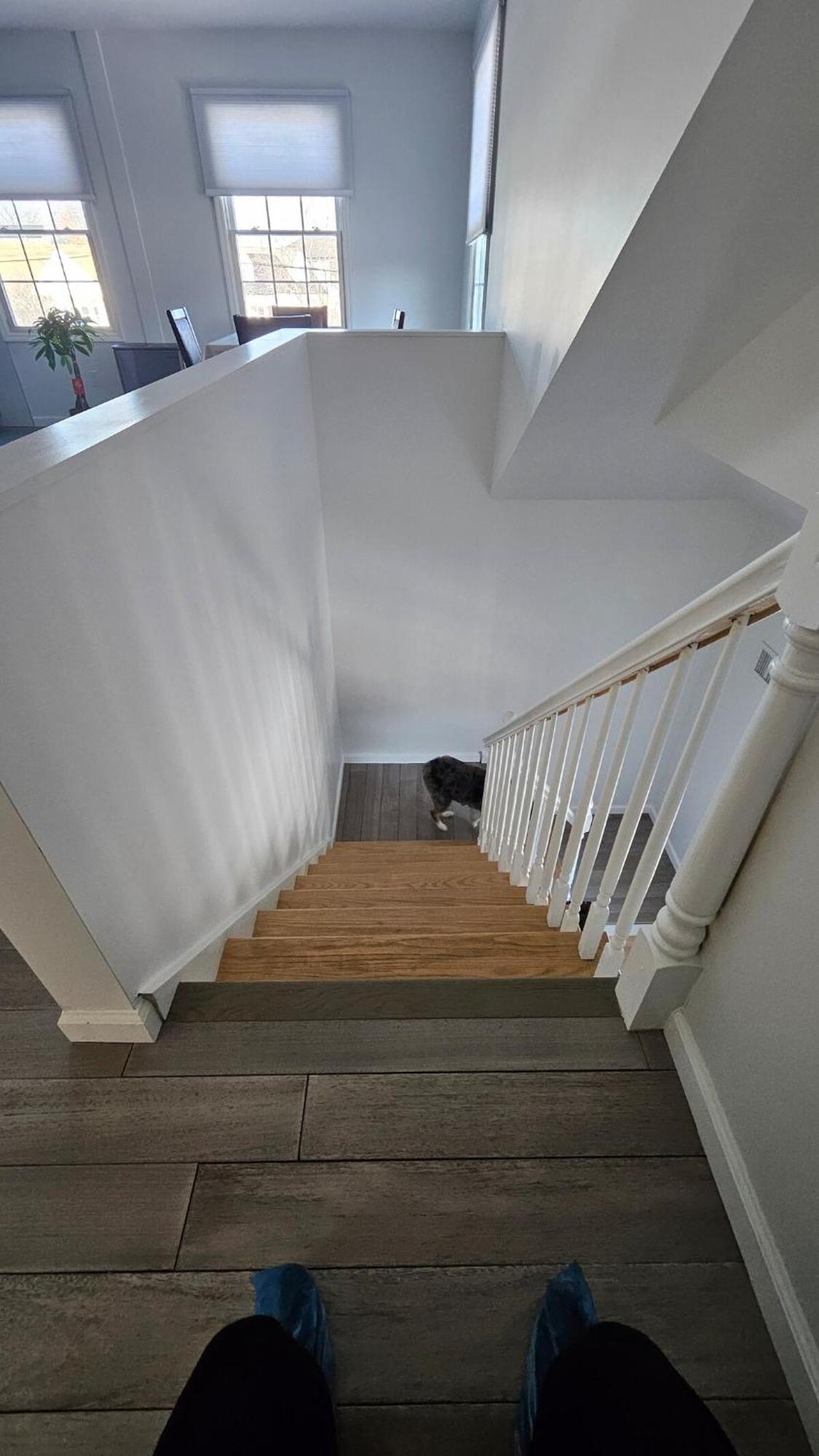 3 Bedroom Renovated Model House Villa *