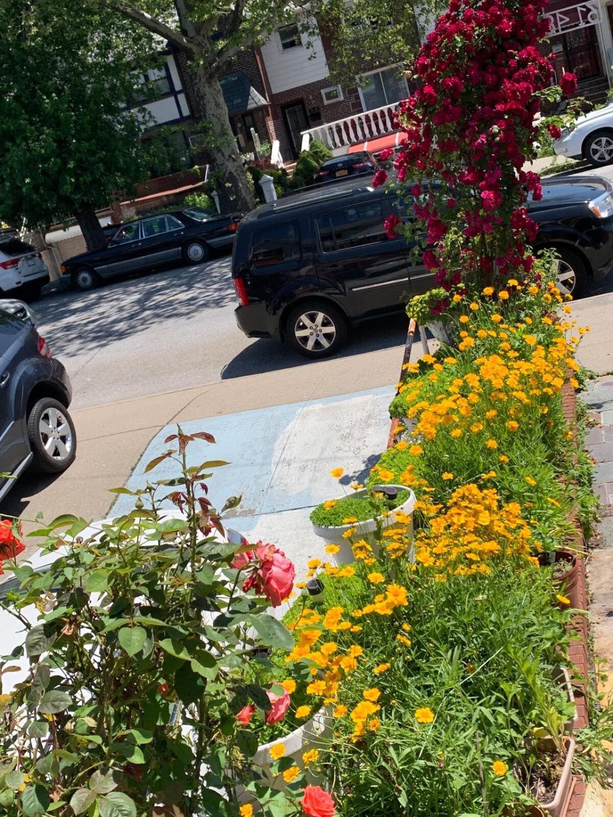 Homestay Cheerful 2 Bed In Heart Of Queens *