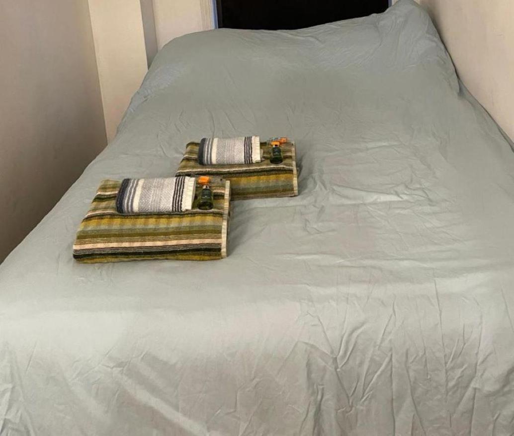 Ground Floor Williamsburg Private Bedroom Near Subway * New York