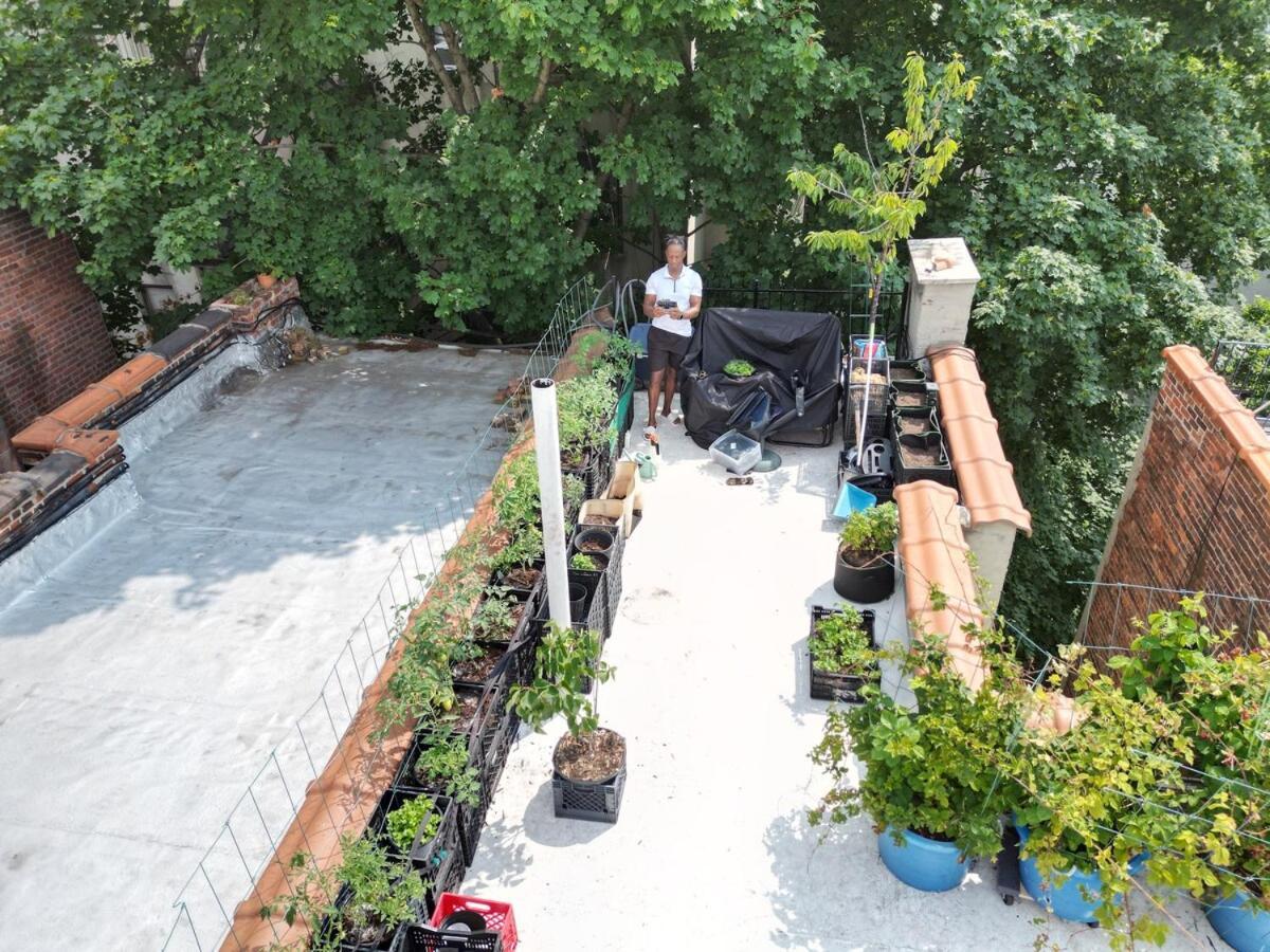 Harlem House