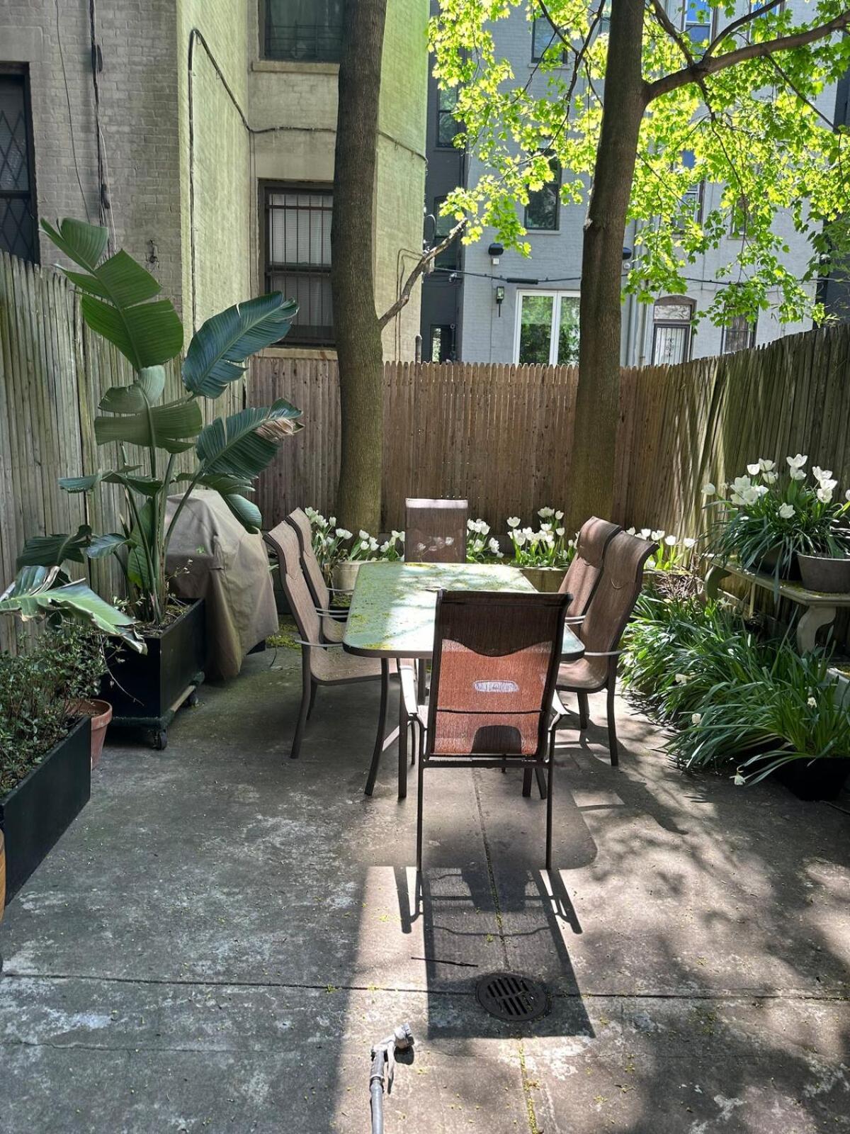Guest house Harlem House *