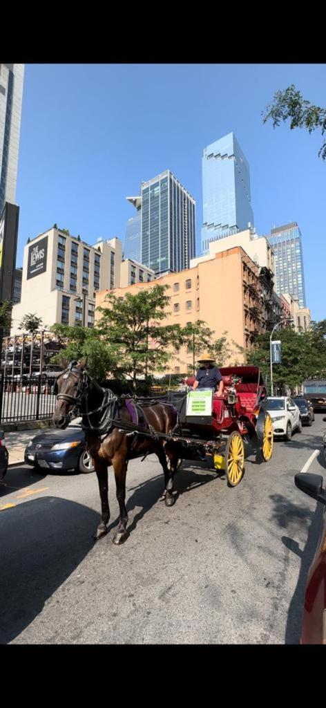 Al Shami 408 New York