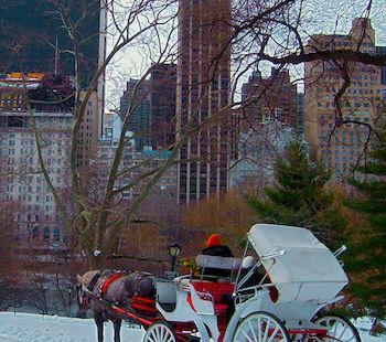 Safehouse Manhattan New York