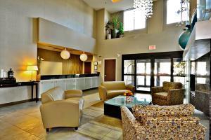 Hilton Jfk Airport 4* New York
