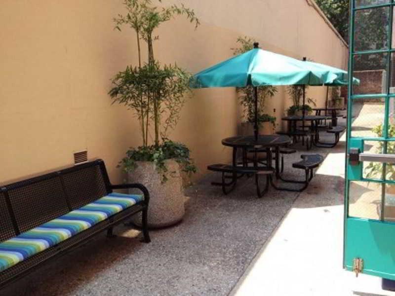 Harlem Ymca Hostel