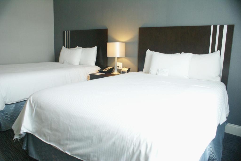 Wyndham Garden Long Island Hotel New York