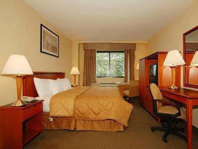 Hotel Comfort Brooklyn New York