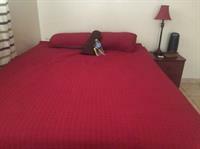 Apartment Ministay Astoria Steinway