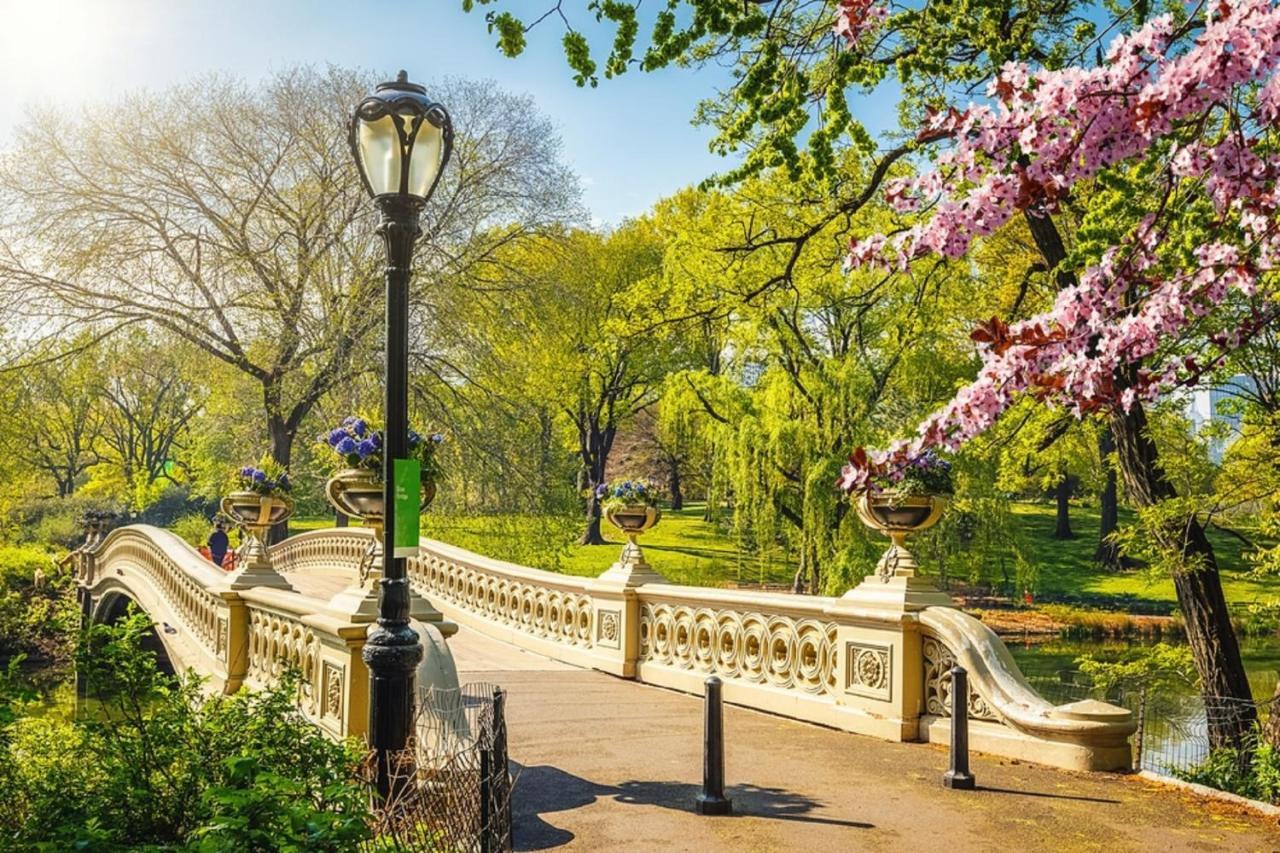 Chelsea New York