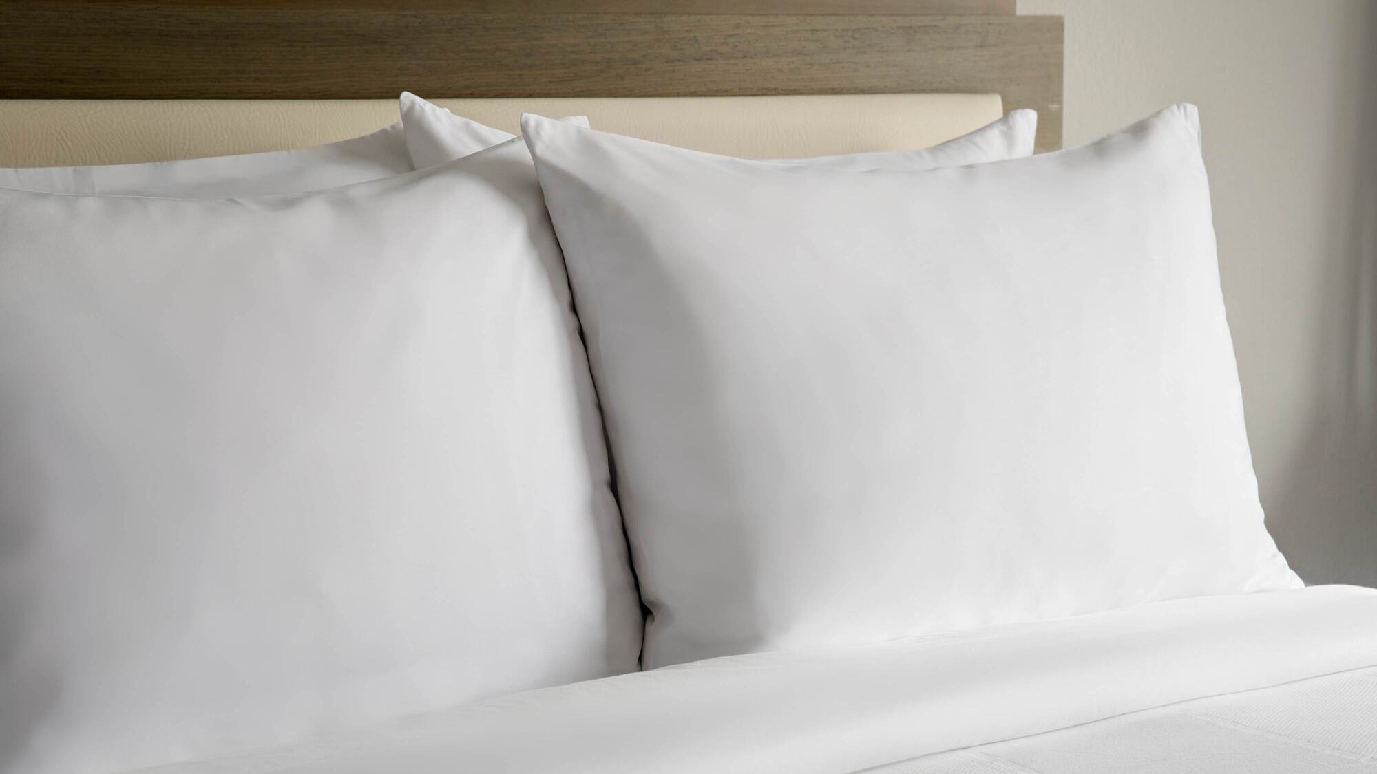 Le Meridien New York, Park Hotel