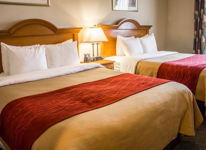 Comfort Jfk Airport 2* New York